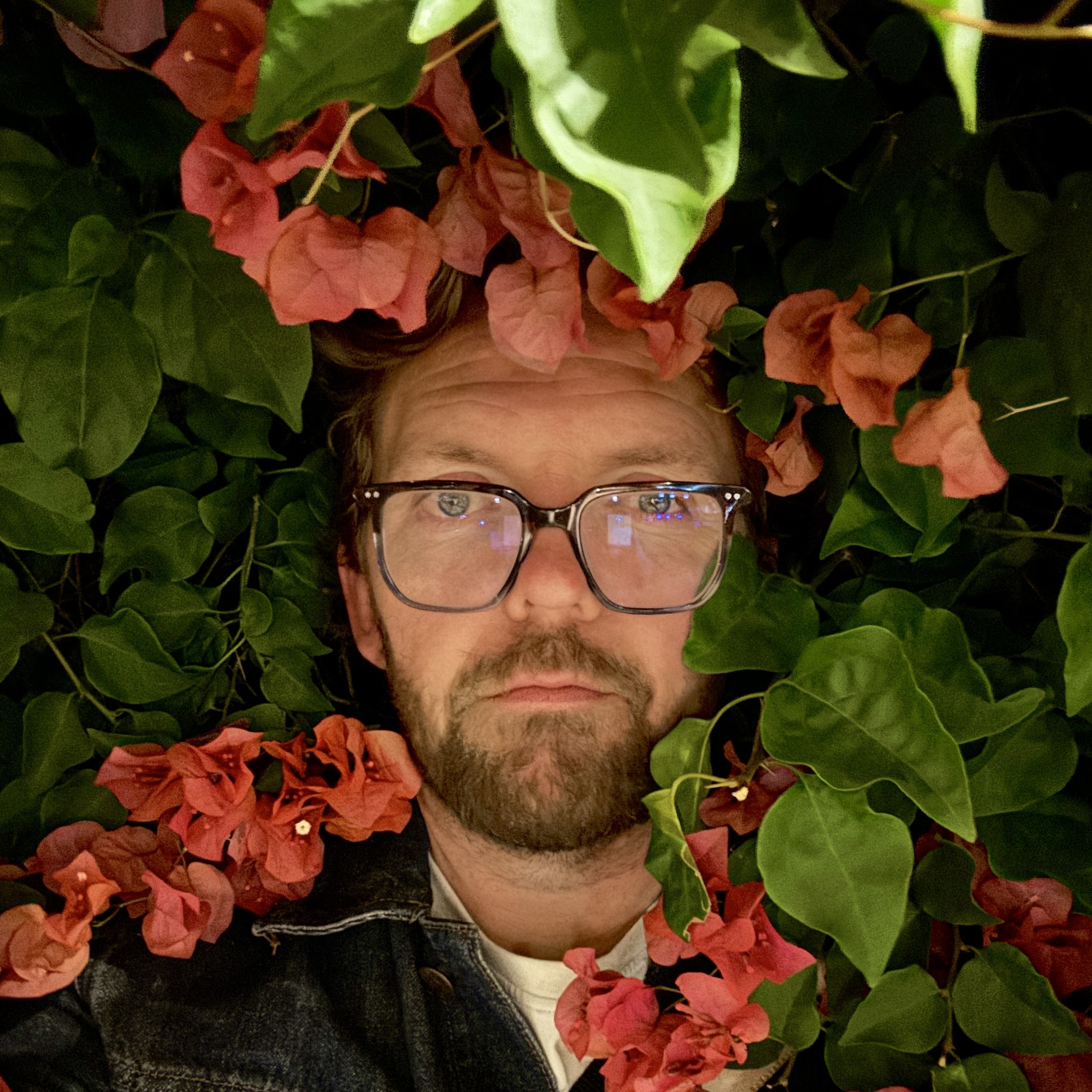 White man with glasses hiddent slightly behind a green bush and some pink flowers